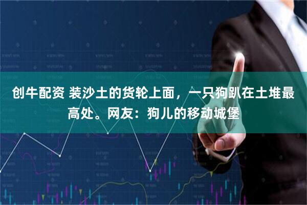 创牛配资 装沙土的货轮上面，一只狗趴在土堆最高处。网友：狗儿的移动城堡