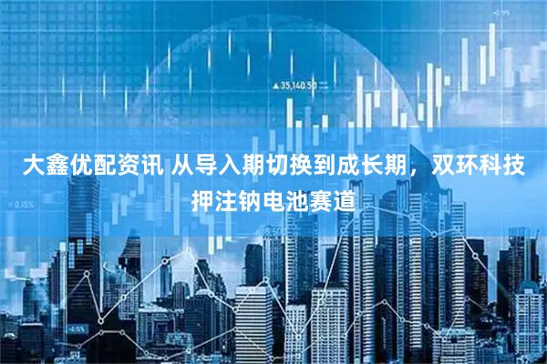 大鑫优配资讯 从导入期切换到成长期，双环科技押注钠电池赛道